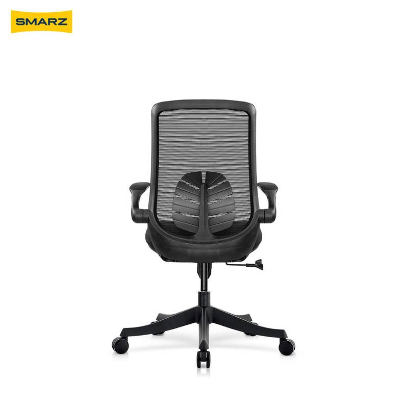 Monzera-JetBlack-Back