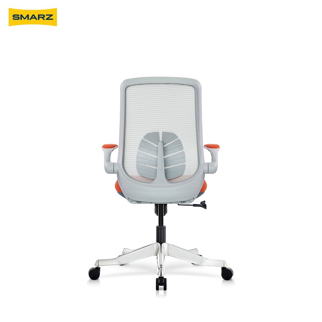 Monzera-RoyalOrange-Back